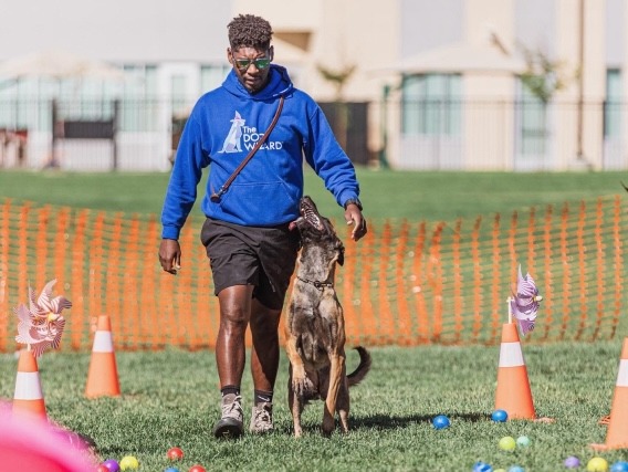 Mastering Leash Training: The Ultimate Guide for Puppies and Adult Dogs