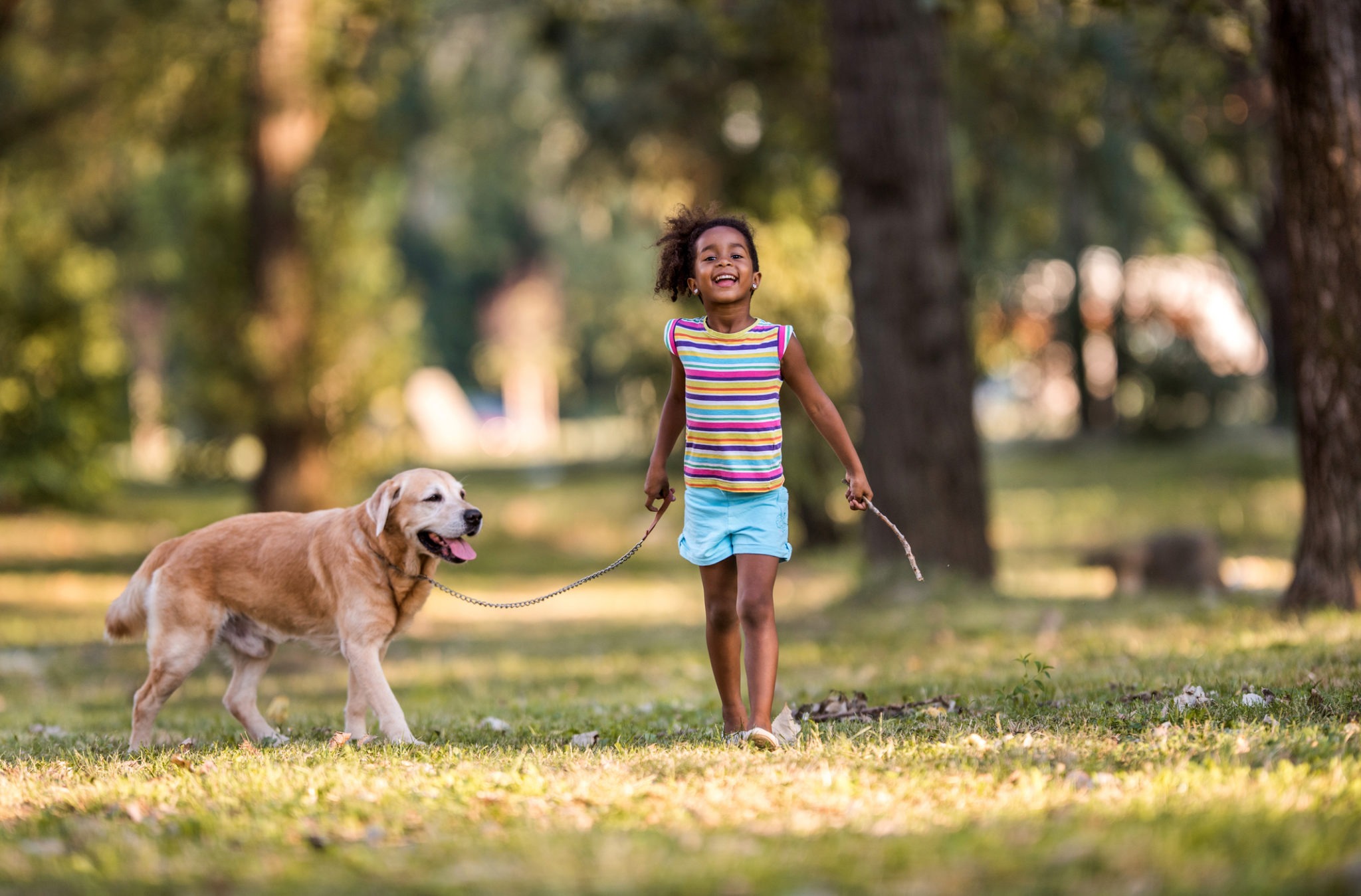 Daily Dog Walks: Why They Matter More Than You Think