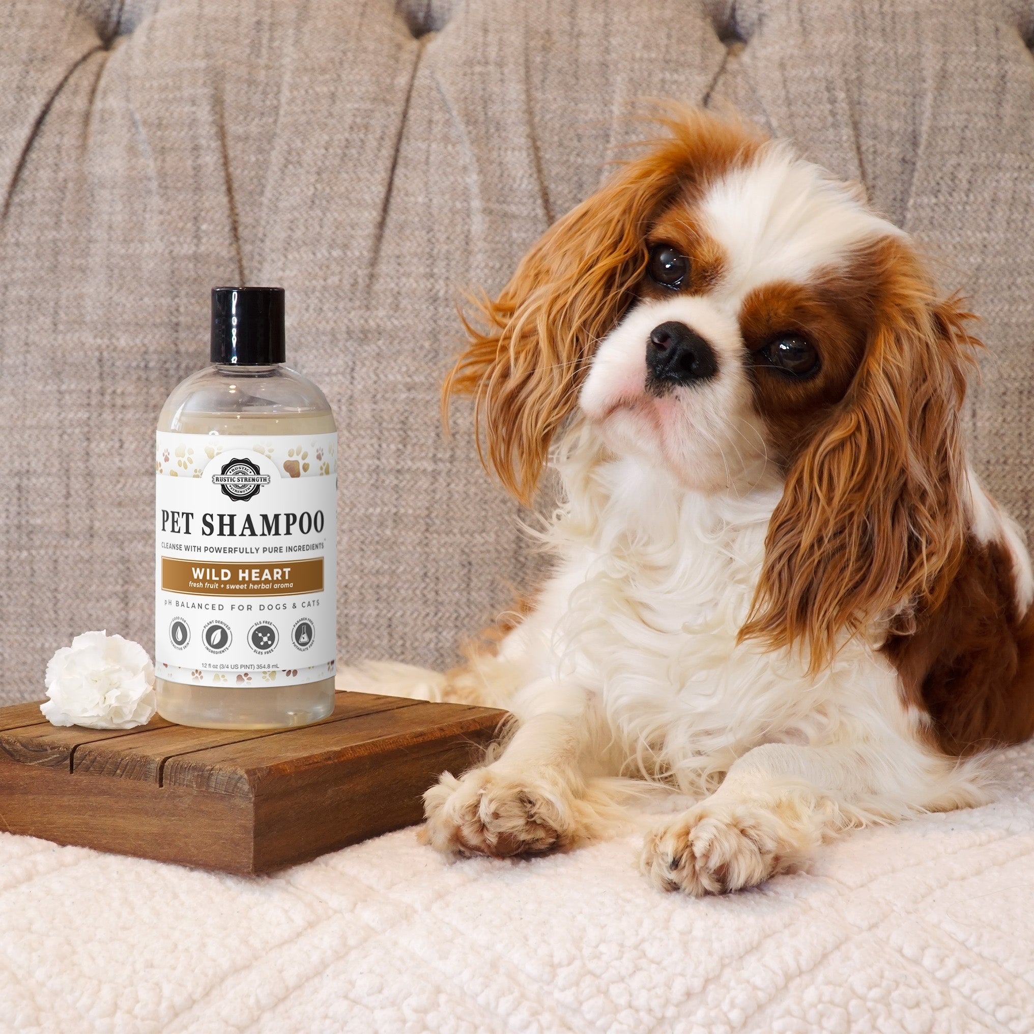 PurePaws Hypoallergenic Dog Shampoo – 500ml