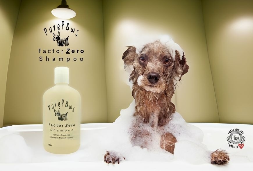 PurePaws Hypoallergenic Dog Shampoo – 500ml